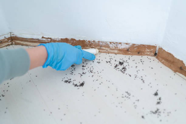 Best Real Estate Pest Inspections  in Greensboro, NC